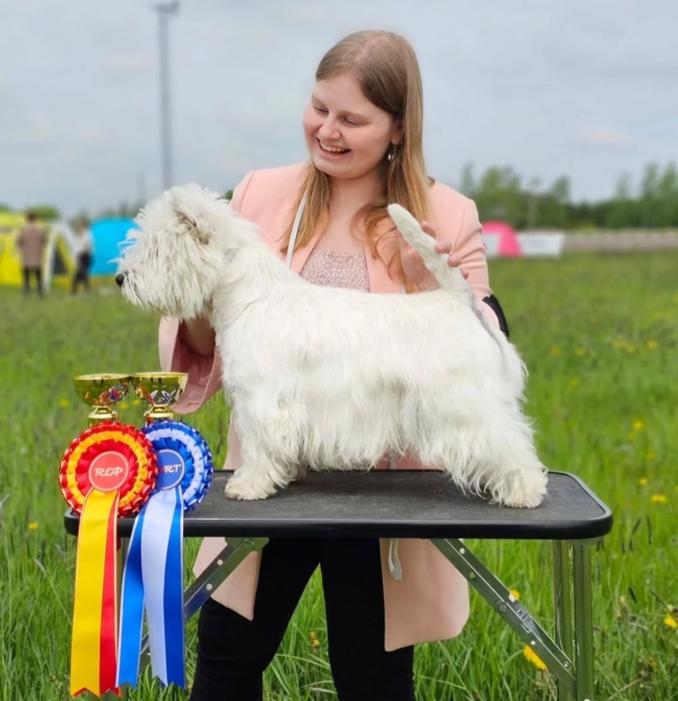 DULLANS WESTCRYSTAL GIVE ME HOPE