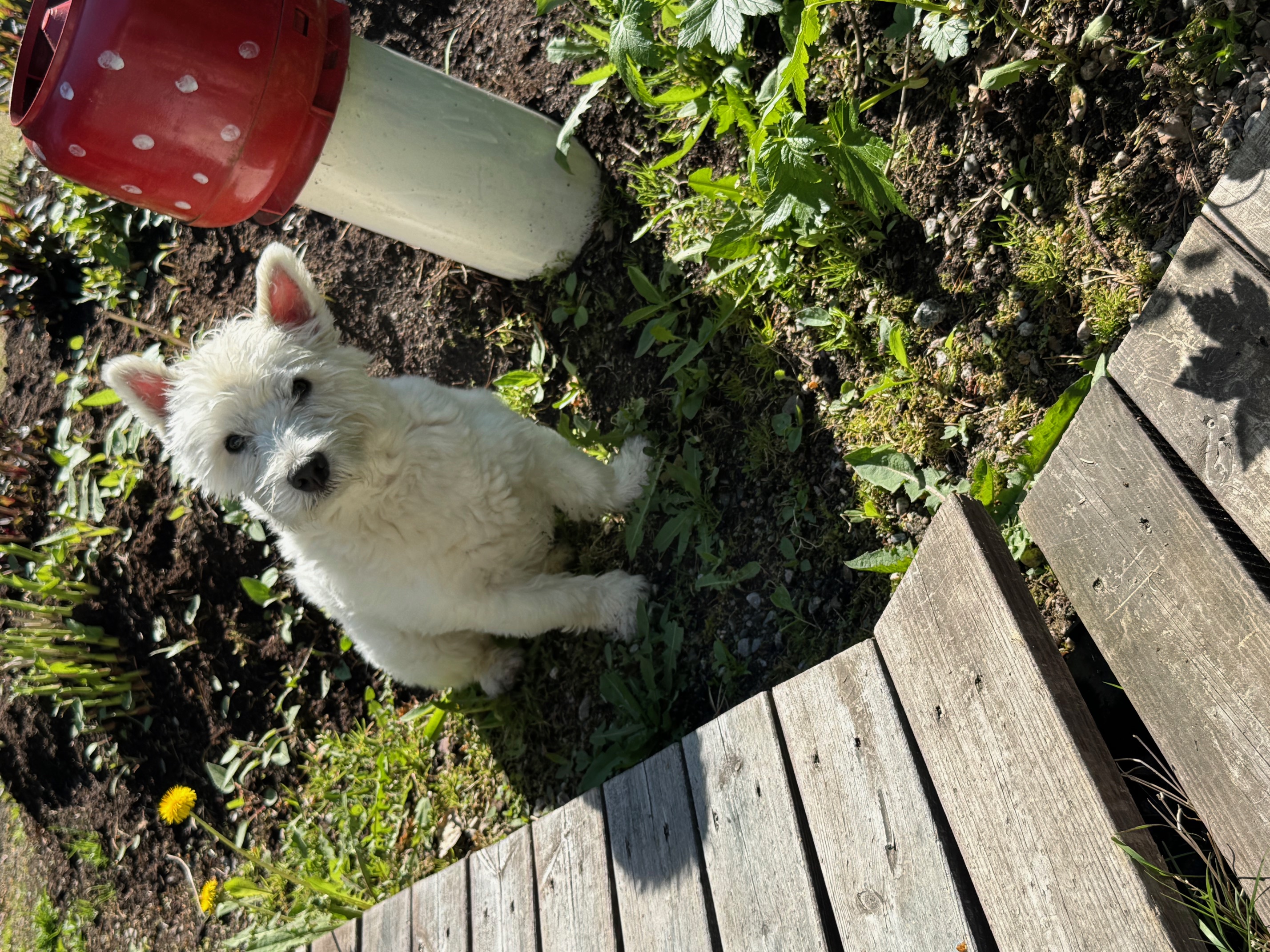 07/2026